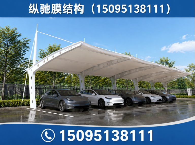 临朐县纵驰膜结构展示图