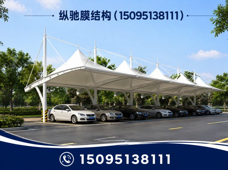 临朐县膜结构看台展示图